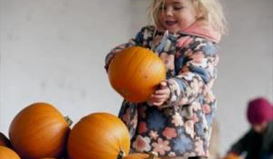 Find the pumpkin at Oxburgh Hall