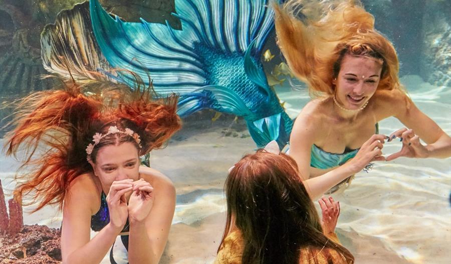 Swimmers dressed as mermaids