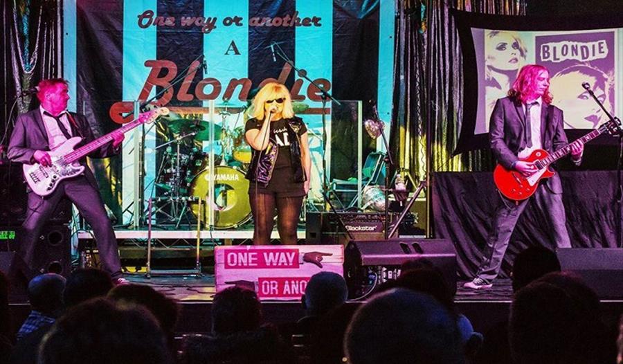 UK Blondie (Blondie Tribute) at Anarchy Brew Co.