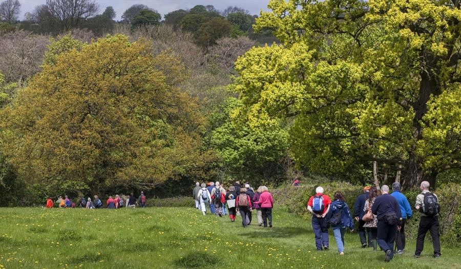 Walkers in Chesterfield area countryside