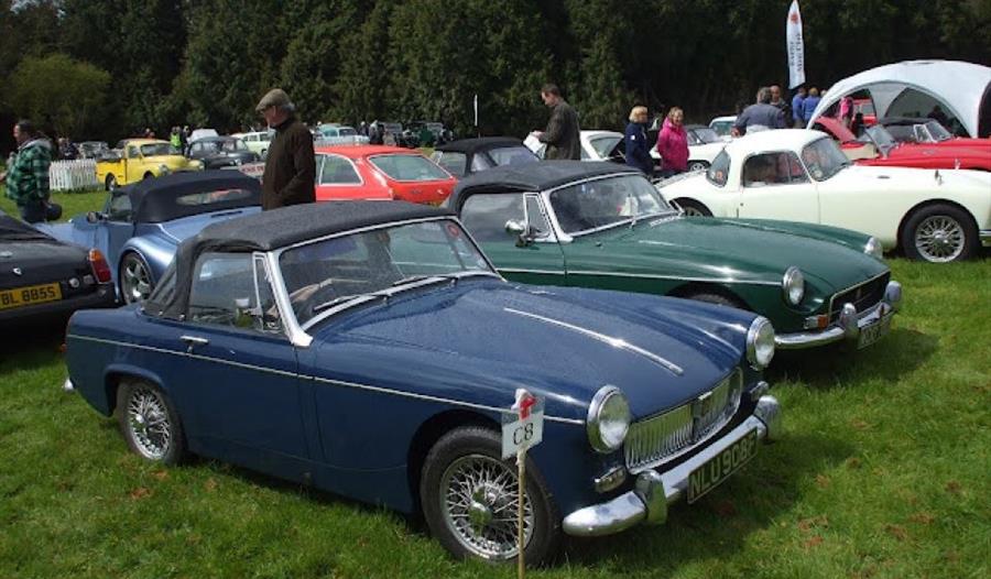 Vintage Car Rally