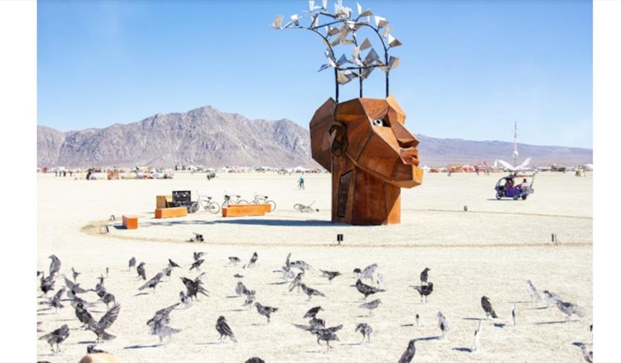 The Flybrary by Christina Sporrong & Murder Inc  by Charles Gadeken, Photo Tex Allen