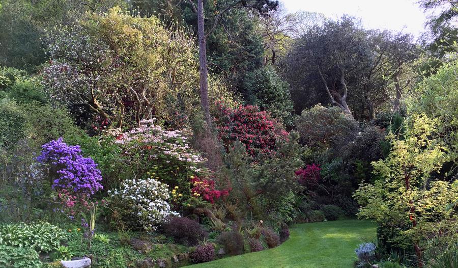 Greencombe Gardens