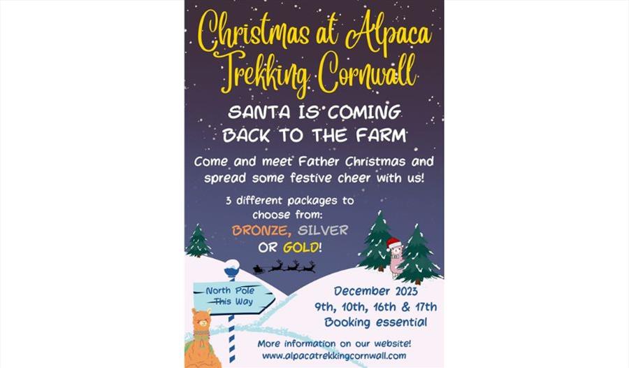 Alpaca Trekking Poster