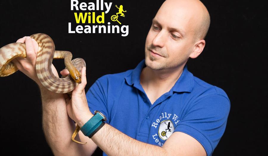 Really Wild Learning