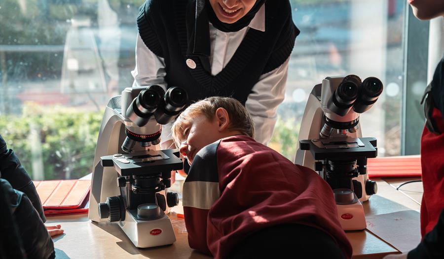 A child looking at a microscope