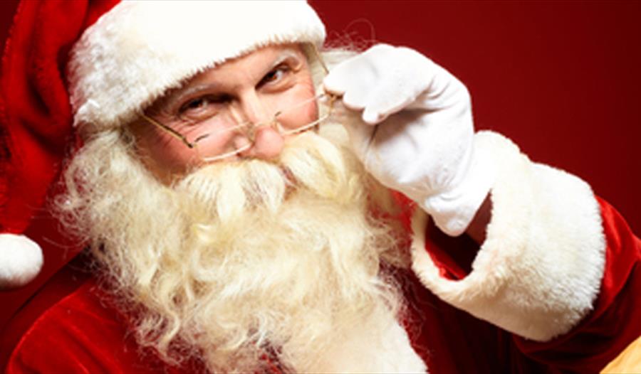 Christmas in the Park at Queen Elizabeth Country Park