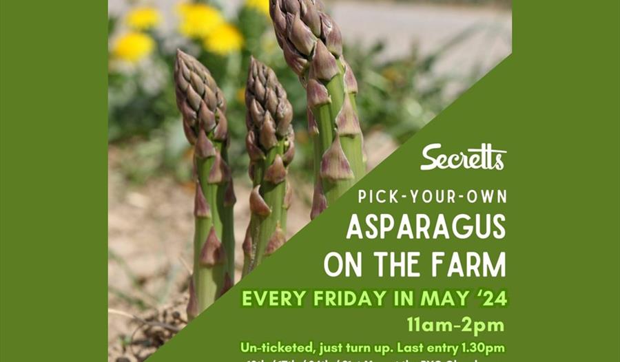 Secretts - Pick Your Own Asparagus