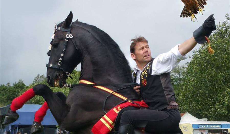 The Newbury Christmas Country Show