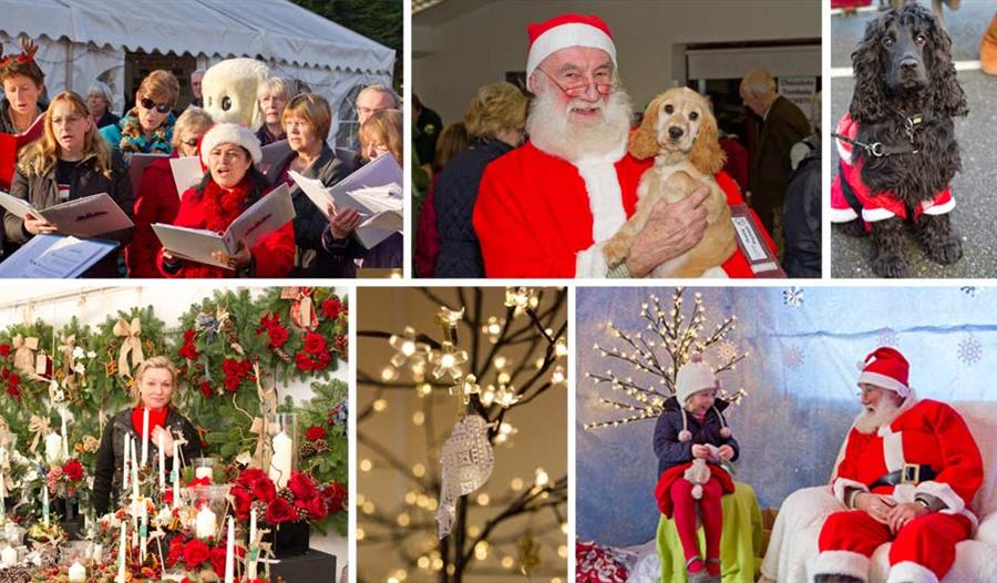 Hearing Dogs Christmas Market 2022