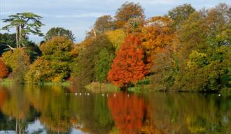 Autumn colours at Sherborne Castle and Gardens, Dorset