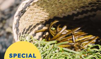 Coast to Caves event, part of England's Seafood FEAST. A basket of freshly foraged seaweed sits on a beach.