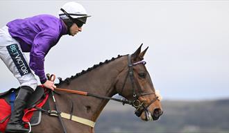 The Christmas Meeting at Cheltenham Racecourse