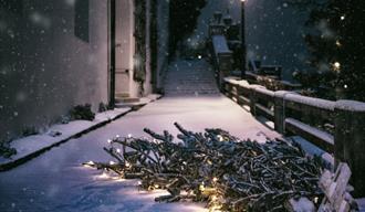 Christmas tree in a snow