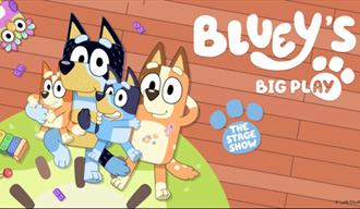 Bluey’s Big Play