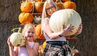 Pumpkin Pride at Tapnell Farm Park at Halloween event, Isle of Wight, What's On