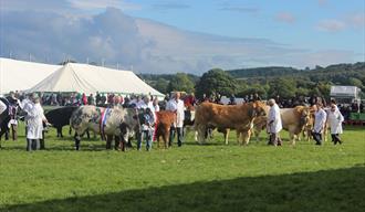 Nidderdale Agricultural Show