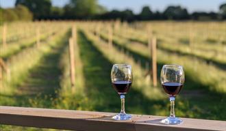 Vineyard Tour And Tastings
