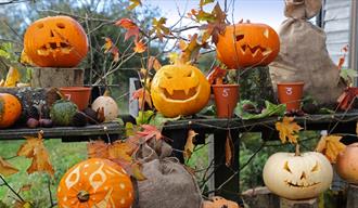 Halloween Half Term Fun at Trerice Manor 2024