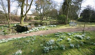 Snowdrop Walks at Rode Hall & Gardens