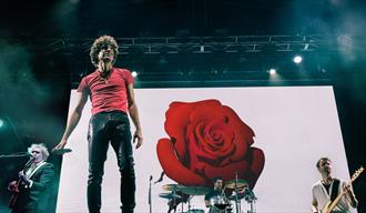 The Kooks