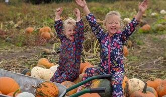 Children enjoying pumpkin picking