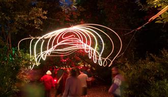 Larmer Tree Spiral in Magical Woodland