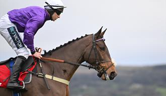 The Christmas Meeting at Cheltenham Racecourse