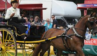 The Honiton Show