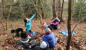 Forest Bathing Sessions at Adlington Hall