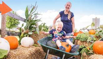 Pumpkin Fest at Noah's Ark Zoo Farm
