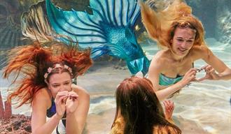 Swimmers dressed as mermaids