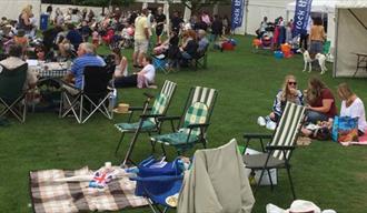 Henley Town and Visitors Regatta