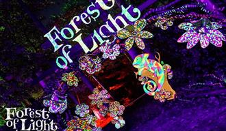 Image of multi-coloured, vibrantly lit flowers, vines and an iguana in the darkness of the forest.