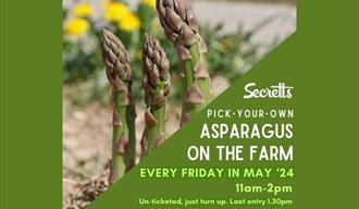 Secretts - Pick Your Own Asparagus