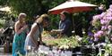 Plant Hunters Fair at Adlington Hall