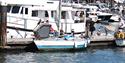 Cowes Powerboat Festival, Torquay