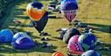Cheltenham Balloon Fiesta