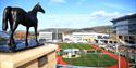 Cheltenham Racecourse view from the balcony