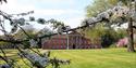 Plant Hunters' Fair at Adlington Hall