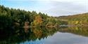 Linacre Reservoirs