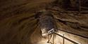 Nottingham Castle Cave Tours
