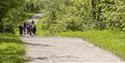 Chesterfield Canal Walking Festival