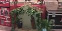 Crib exhibition, St Petroc's Church, Padstow, Cornwall