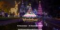 Blurred image of christmas illuminations with the Bournemouth Christmas Tree Wonderland Logo, dates of the 2024 event (15 Nov - 31 Dec 2024) and the w