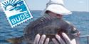 Team Shed Fishing Trip from Bude, Cornwall
