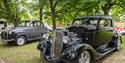 Black and grey vintage cars underneath the trees