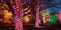 Enchanted Christmas at Westonbirt Arboretum