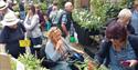 The plant fair features highly respected specialist nurseries