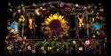 A projection with flowers and dancers on the Nottingham Council House